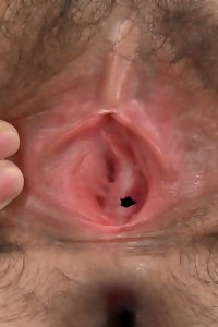 Feliz Dia De Gracias Con Chiquititos